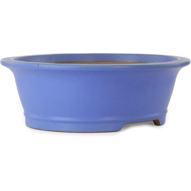 Maceta ovalada para bonsái azul de Seizan (Reihou, Kataoka Katsushi, maestro del horno Seizan) - 474 x 403 x 154 mm