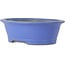 Oval blue bonsai pot by Seizan (Reihou, Kataoka Katsushi, master Seizan kiln) - 474 x 403 x 154 mm