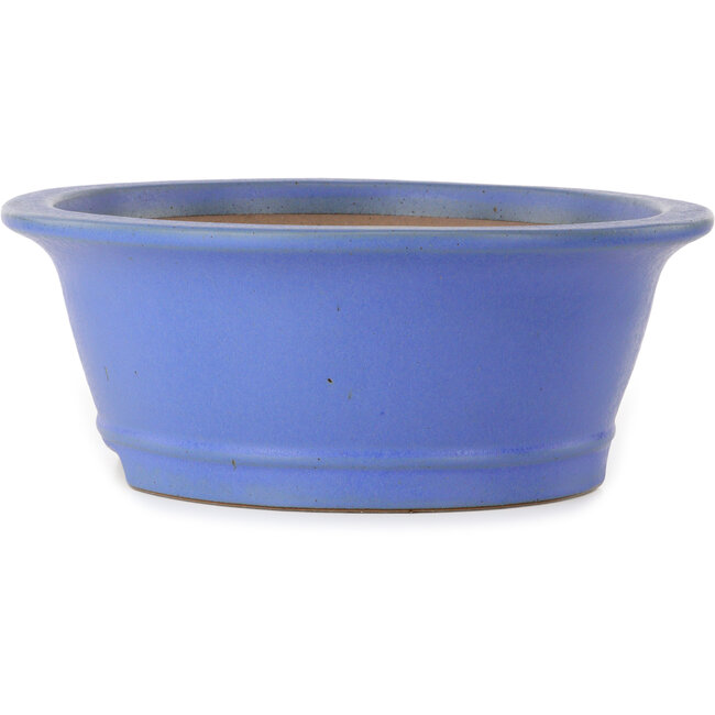 Maceta ovalada para bonsái azul de Seizan (Reihou, Kataoka Katsushi, maestro del horno Seizan) - 474 x 403 x 154 mm