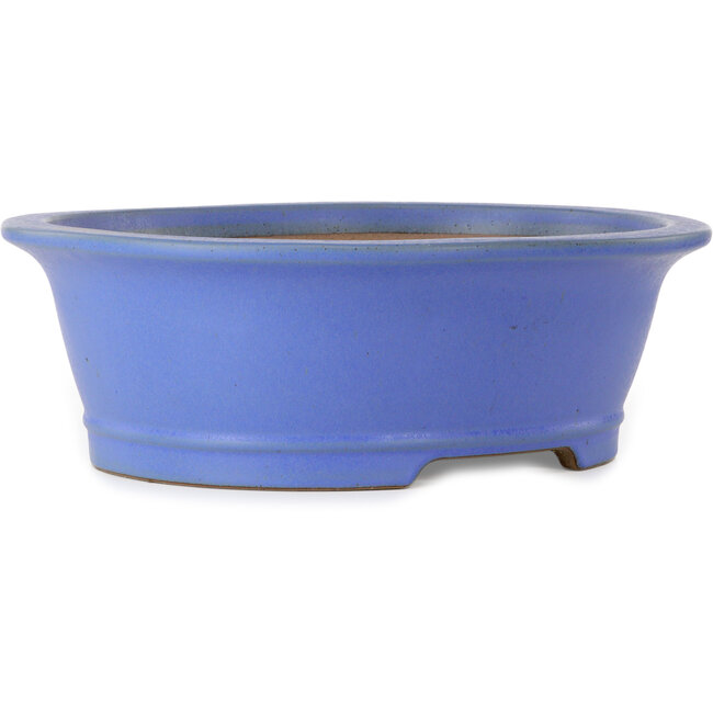 Oval blue bonsai pot by Seizan (Reihou, Kataoka Katsushi, master Seizan kiln) - 474 x 403 x 154 mm