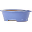 Ovale blauwe bonsaipot van Seizan (Reihou, Kataoka Katsushi, meester Seizan oven) - 474 x 403 x 154 mm