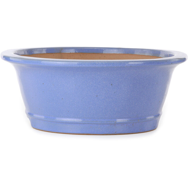 Maceta ovalada para bonsái azul de Seizan (Reihou, Kataoka Katsushi, maestro del horno Seizan) - 474 x 403 x 154 mm