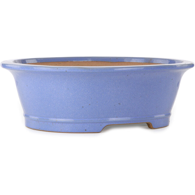 Pot à bonsaï ovale bleu par Seizan (Reihou, Kataoka Katsushi, maître four Seizan) - 474 x 403 x 154 mm