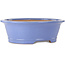 Vaso bonsai ovale blu di Seizan (Reihou, Kataoka Katsushi, forno del maestro Seizan) - 474 x 403 x 154 mm