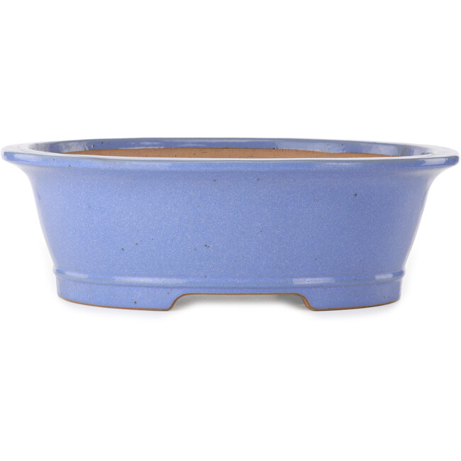 Pot à bonsaï ovale bleu par Seizan (Reihou, Kataoka Katsushi, maître four Seizan) - 474 x 403 x 154 mm