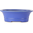 Vaso bonsai ovale blu di Seizan (Reihou, Kataoka Katsushi, fornace del maestro Seizan) - 412 x 360 x 138 mm