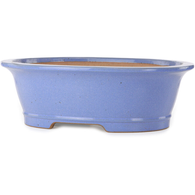 Ovale blauwe bonsaipot van Seizan (Reihou, Kataoka Katsushi, meester Seizan oven) - 474 x 403 x 154 mm