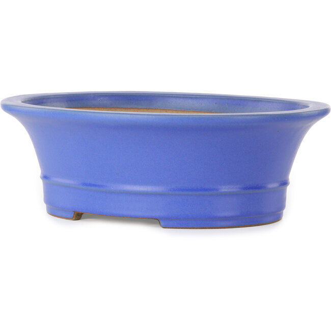 Oval blue bonsai pot by Seizan (Reihou, Kataoka Katsushi, master Seizan kiln) - 412 x 360 x 138 mm