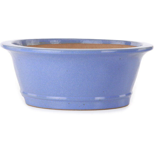 Vaso bonsai ovale blu di Seizan (Reihou, Kataoka Katsushi, forno del maestro Seizan) - 474 x 403 x 154 mm