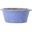 Vaso bonsai ovale blu di Seizan (Reihou, Kataoka Katsushi, forno del maestro Seizan) - 474 x 403 x 154 mm