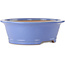 Vaso bonsai ovale blu di Seizan (Reihou, Kataoka Katsushi, forno del maestro Seizan) - 474 x 403 x 154 mm