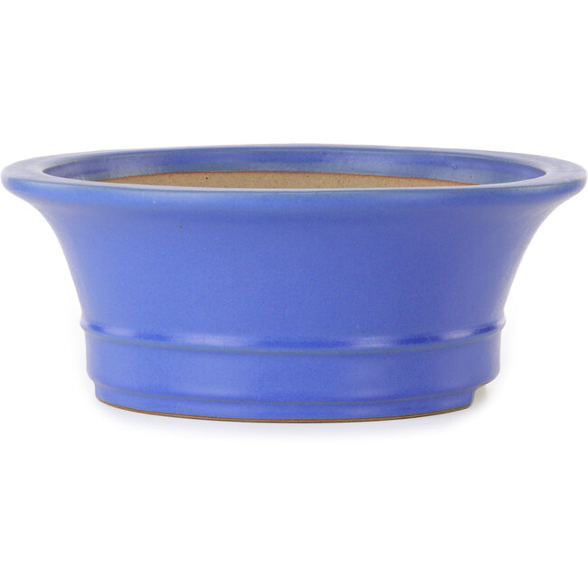 Maceta ovalada para bonsái azul de Seizan (Reihou, Kataoka Katsushi, maestro del horno Seizan) - 412 x 360 x 138 mm