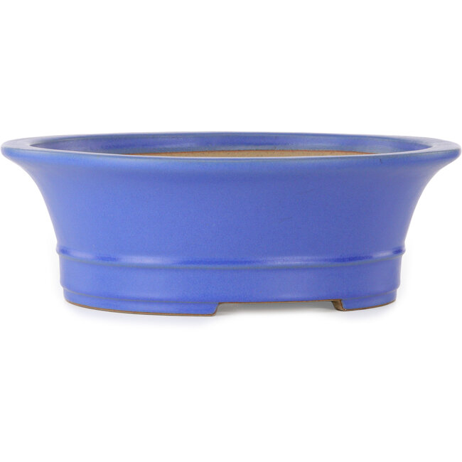 Vaso bonsai ovale blu di Seizan (Reihou, Kataoka Katsushi, fornace del maestro Seizan) - 412 x 360 x 138 mm