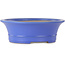Pot à bonsaï ovale bleu par Seizan (Reihou, Kataoka Katsushi, maître four Seizan) - 412 x 360 x 138 mm