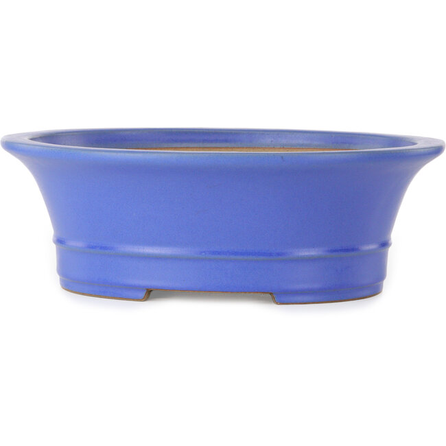 Maceta ovalada para bonsái azul de Seizan (Reihou, Kataoka Katsushi, maestro del horno Seizan) - 412 x 360 x 138 mm