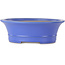 Ovale blauwe bonsaipot van Seizan (Reihou, Kataoka Katsushi, meester Seizan oven) - 412 x 360 x 138 mm
