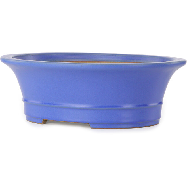 Maceta ovalada para bonsái azul de Seizan (Reihou, Kataoka Katsushi, maestro del horno Seizan) - 412 x 360 x 138 mm