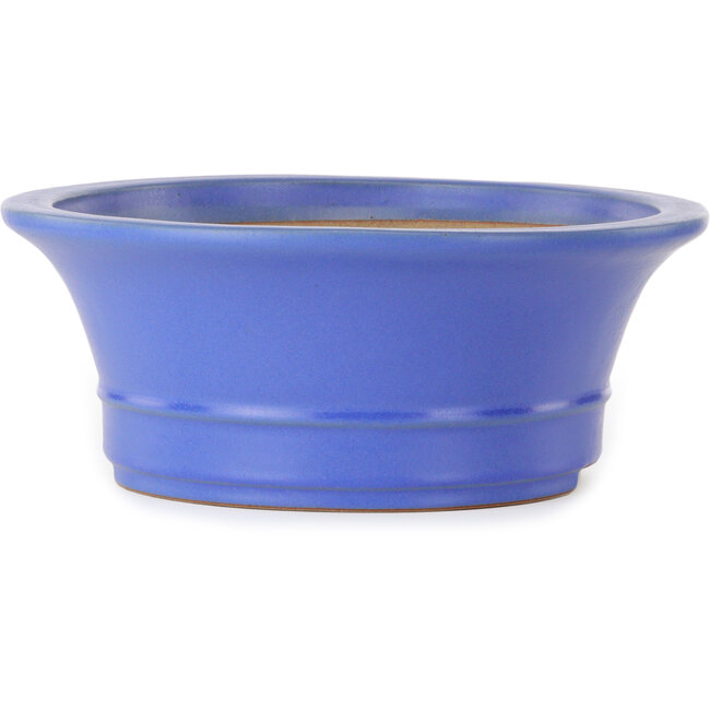 Maceta ovalada para bonsái azul de Seizan (Reihou, Kataoka Katsushi, maestro del horno Seizan) - 412 x 360 x 138 mm