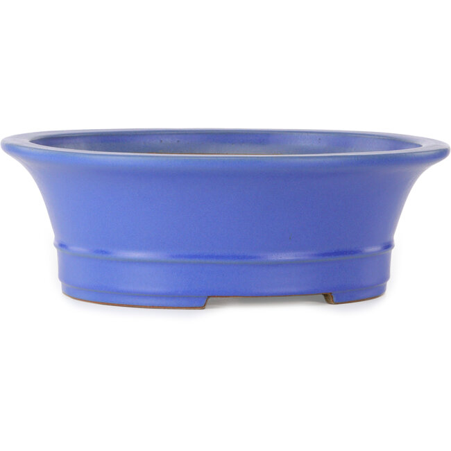 Vaso bonsai ovale blu di Seizan (Reihou, Kataoka Katsushi, fornace del maestro Seizan) - 412 x 360 x 138 mm