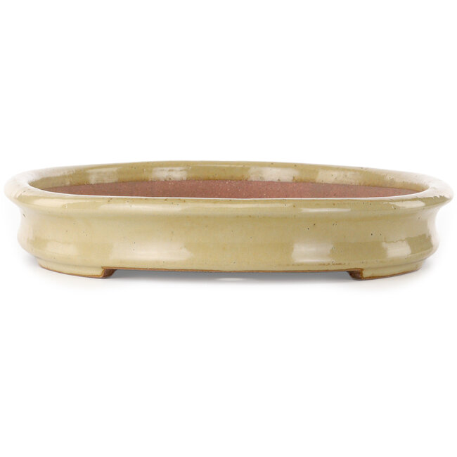 Oval beige bonsai pot by Seizan (Reihou, Kataoka Katsushi, master Seizan kiln) - 518 x 364 x 58 mm