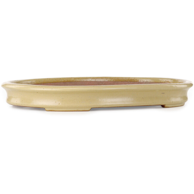 Vaso bonsai ovale beige di Seizan (Reihou, Kataoka Katsushi, forno maestro Seizan) - 518 x 364 x 58 mm