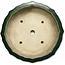 Maceta para bonsái verde loto de Terahata Satomi Mazan - 435 x 435 x 113 mm