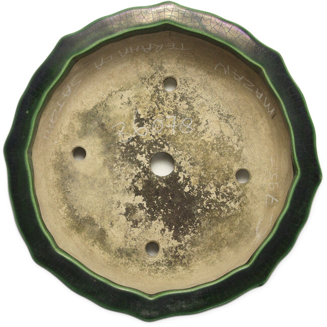 Lotusgrüner Craquelé-Bonsaitopf von Terahata Satomi Mazan – 435 x 435 x 113 mm
