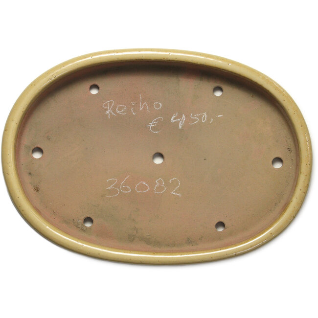 Maceta ovalada para bonsái beige de Seizan (Reihou, Kataoka Katsushi, maestro del horno Seizan) - 518 x 364 x 58 mm