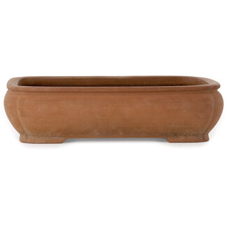 Tosho Vaso bonsai ovale non smaltato da 407 mm di Tosho, Tokoname, Giappone