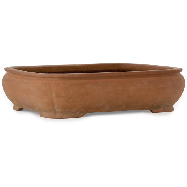 Pot à bonsaï ovale non émaillé de Tosho - 407 x 315 x 105 mm