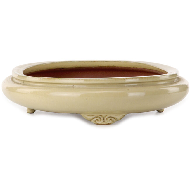 Vaso bonsai ovale beige di Seizan (Reihou, Kataoka Katsushi, forno maestro Seizan) - 565 x 395 x 90 mm