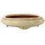 Maceta ovalada para bonsái beige de Seizan (Reihou, Kataoka Katsushi, maestro del horno Seizan) - 565 x 395 x 90 mm