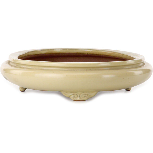 Ovale beige bonsaipot van Seizan (Reihou, Kataoka Katsushi, meester Seizan oven) - 565 x 395 x 90 mm
