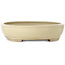 Oval beige bonsai pot by Shuhou - 505 x 415 x 95 mm