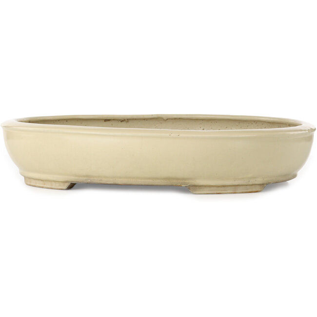 Oval beige bonsai pot by Shuhou - 505 x 415 x 95 mm