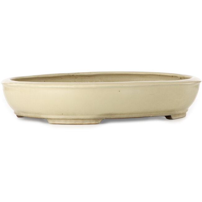 Oval beige bonsai pot by Shuhou - 505 x 415 x 95 mm