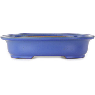 Seizan (Reihou, Kataoka Katsushi, master Seizan kiln) 472 mm ovale blauwe bonsaipot van Seizan (Reihou, Kataoka Katsushi, meester Seizan oven), Tokoname, Japan