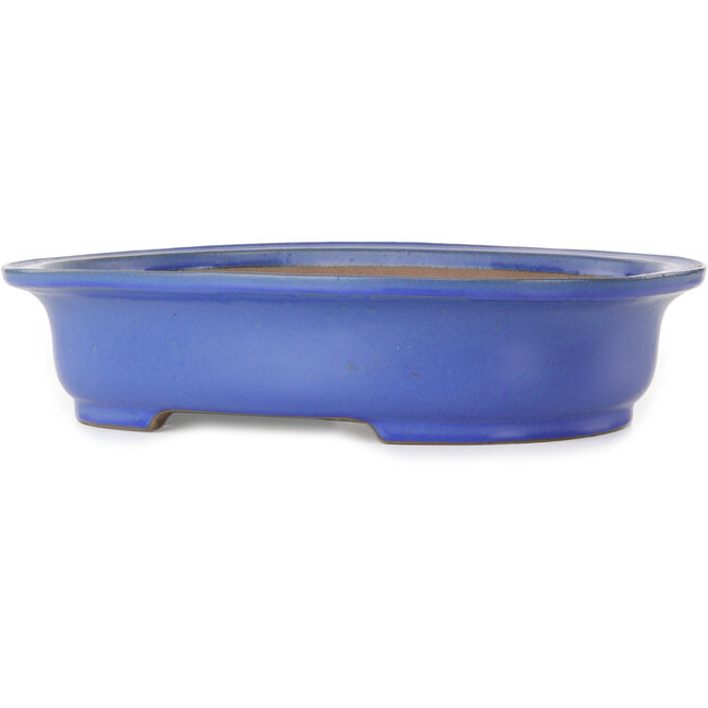 Oval blue bonsai pot by Seizan (Reihou, Kataoka Katsushi, master Seizan kiln) - 472 x 370 x 104 mm
