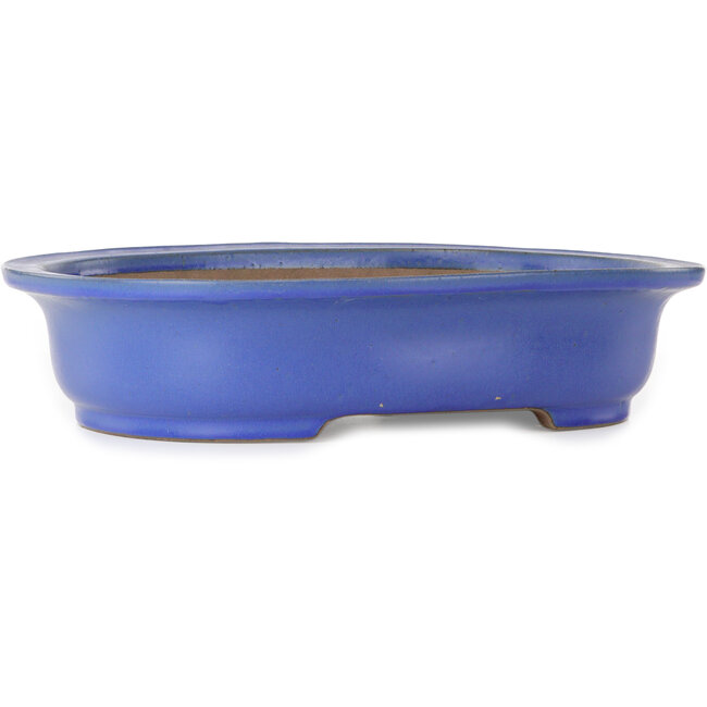 Maceta ovalada para bonsái azul de Seizan (Reihou, Kataoka Katsushi, maestro del horno Seizan) - 472 x 370 x 104 mm