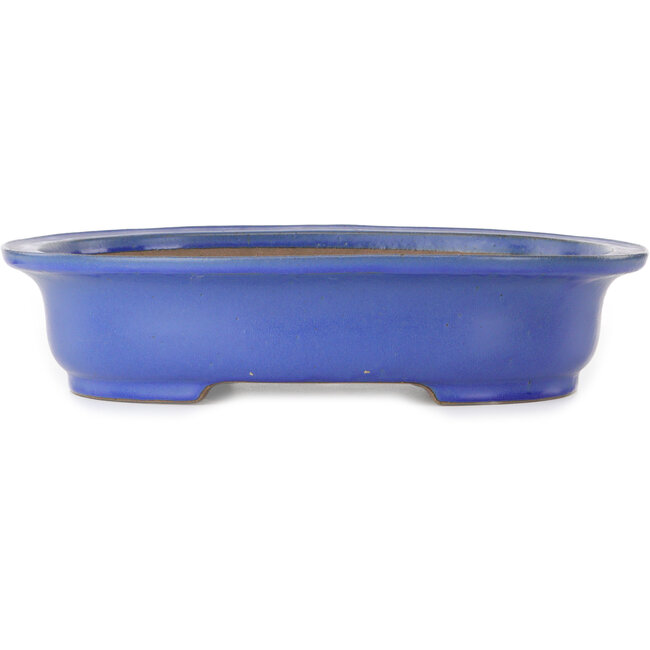 Vaso bonsai ovale blu di Seizan (Reihou, Kataoka Katsushi, forno del maestro Seizan) - 472 x 370 x 104 mm