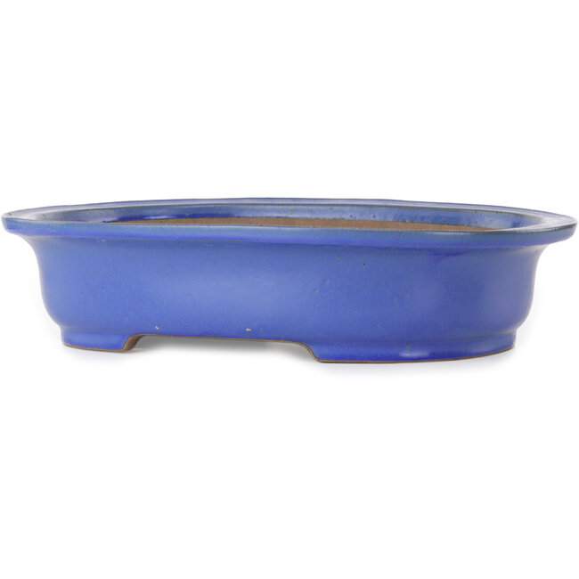 Vaso bonsai ovale blu di Seizan (Reihou, Kataoka Katsushi, forno del maestro Seizan) - 472 x 370 x 104 mm