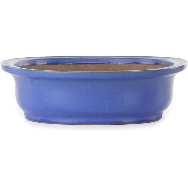 Vaso bonsai ovale blu di Seizan (Reihou, Kataoka Katsushi, forno del maestro Seizan) - 472 x 370 x 104 mm
