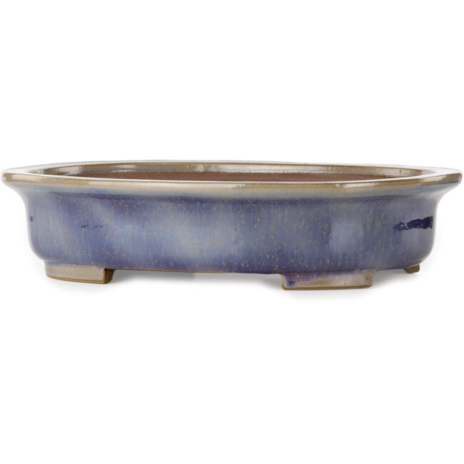 Oval blue bonsai pot by Kakuzan - 474 x 375 x 108 mm