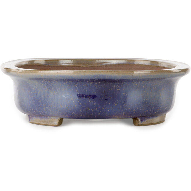 Pot ovale bleu pour bonsaï de Kakuzan - 474 x 375 x 108 mm