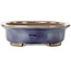 Vaso bonsai ovale blu di Kakuzan - 474 x 375 x 108 mm