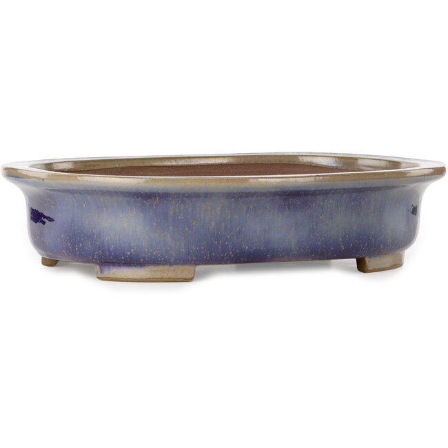 Oval blue bonsai pot by Kakuzan - 474 x 375 x 108 mm