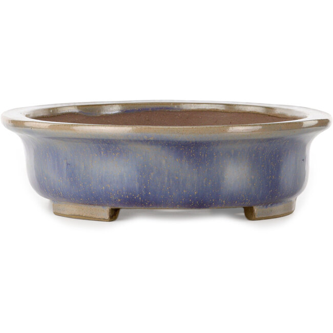 Ovale blauwe bonsaipot van Kakuzan - 474 x 375 x 108 mm