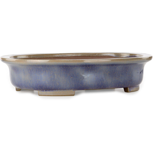 Maceta ovalada azul para bonsái de Kakuzan - 474 x 375 x 108 mm