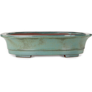 Kakuzan Maceta para bonsái verde ovalada de 550 mm de Kakuzan, Tokoname, Japón