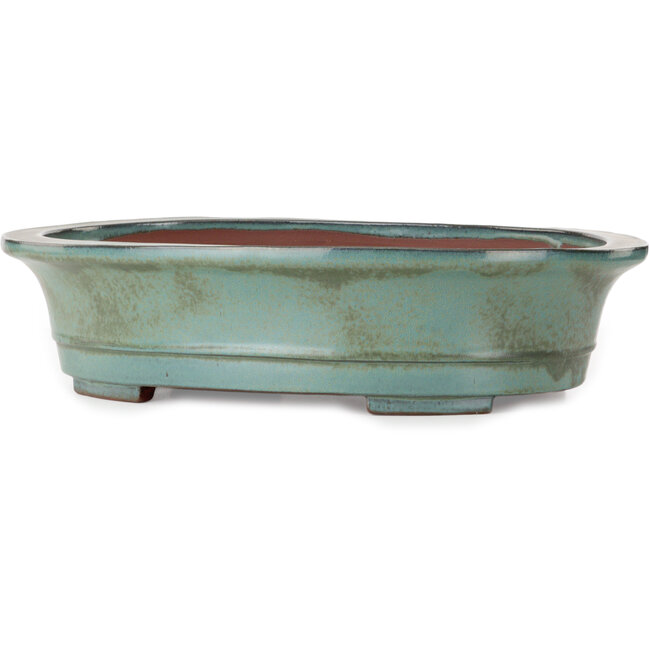 Oval green bonsai pot by Kakuzan - 550 x 407 x 138 mm
